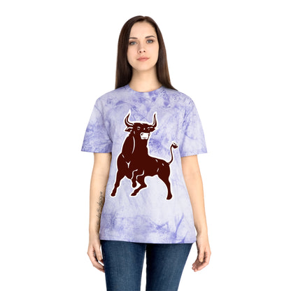 Color Blast School Spirit Tee