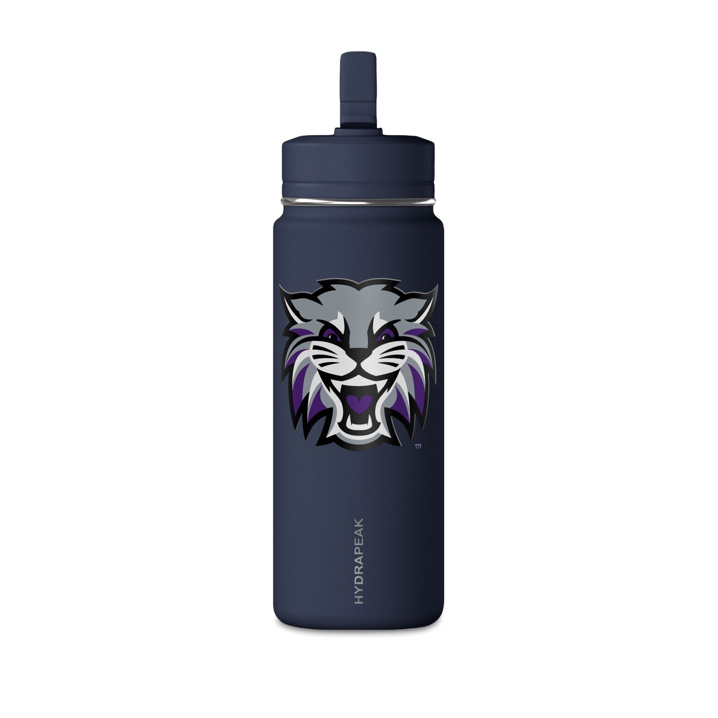 Mini Water Bottle, 20oz