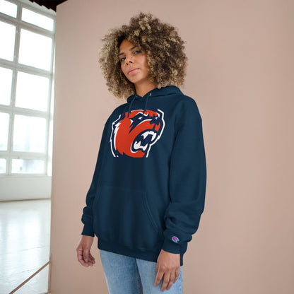 Champion Powerblend Fleece Pullover Hoodie