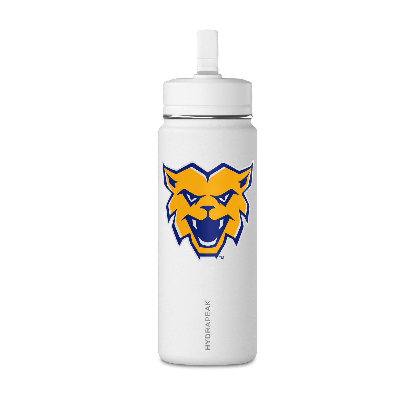 Mini Water Bottle, 20oz