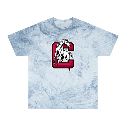Color Blast School Spirit Tee