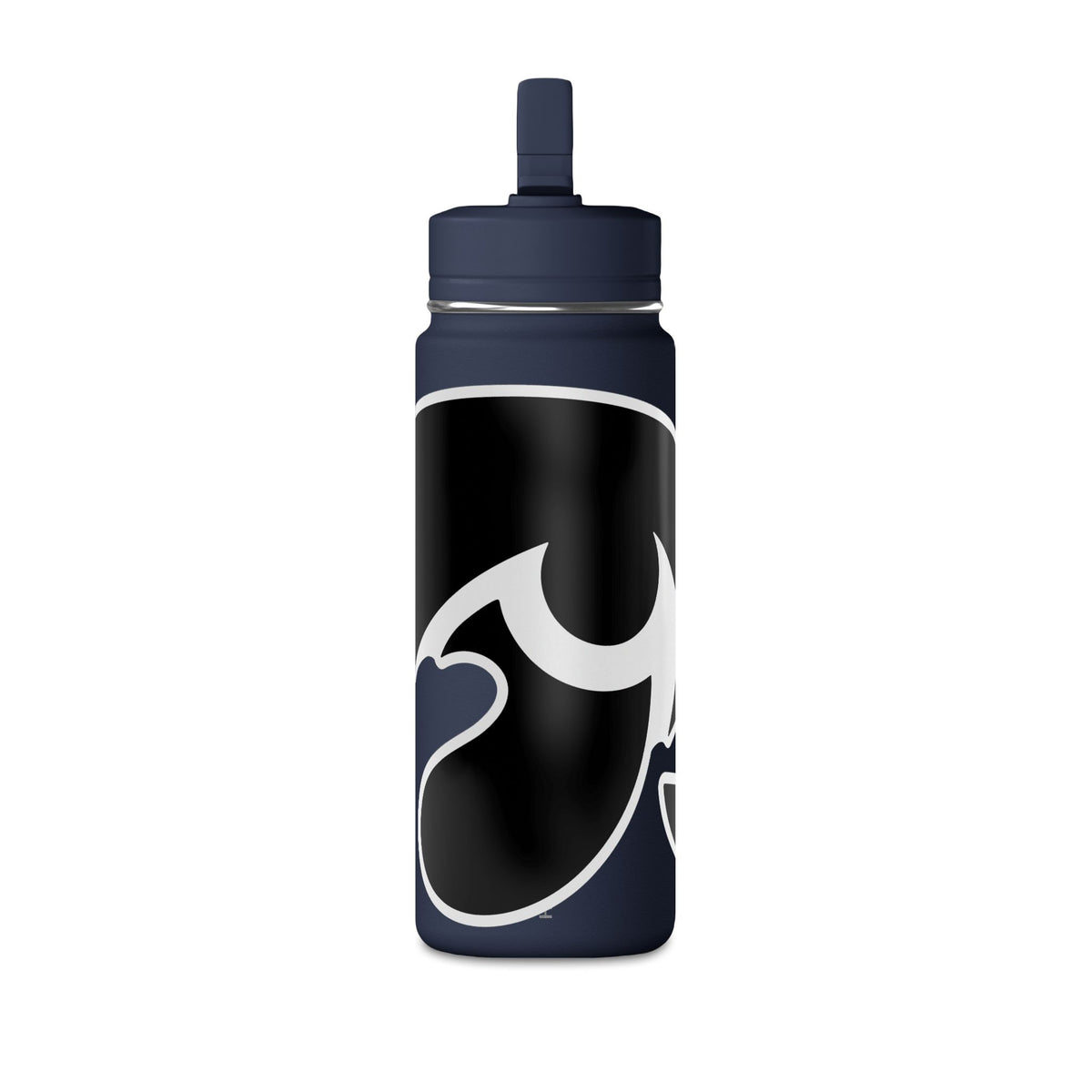 Mini Water Bottle, 20oz