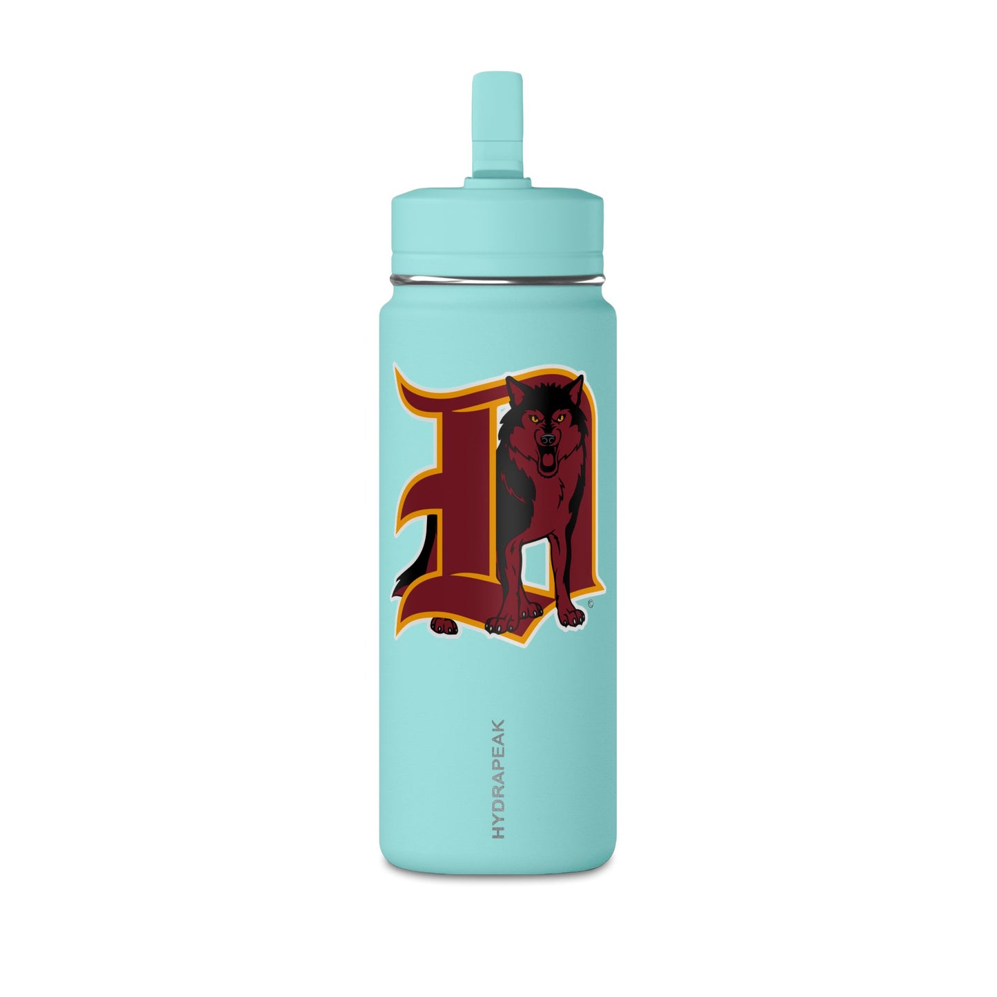 Mini Water Bottle, 20oz