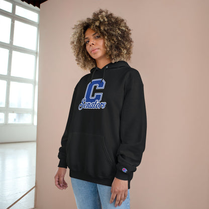 Champion Powerblend Fleece Pullover Hoodie