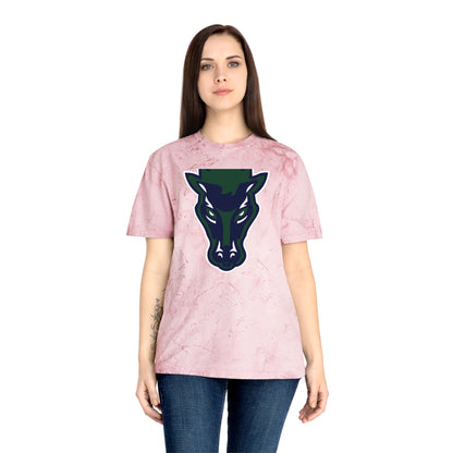Color Blast School Spirit Tee