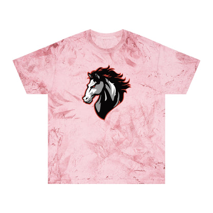 Color Blast School Spirit Tee