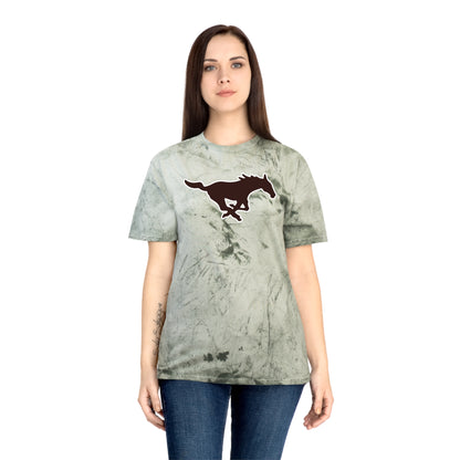 Color Blast School Spirit Tee