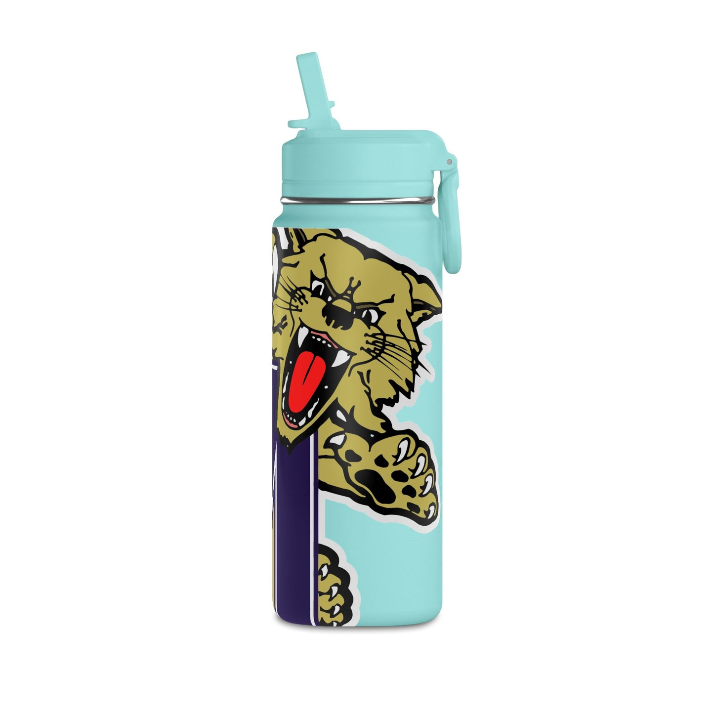 Mini Water Bottle, 20oz