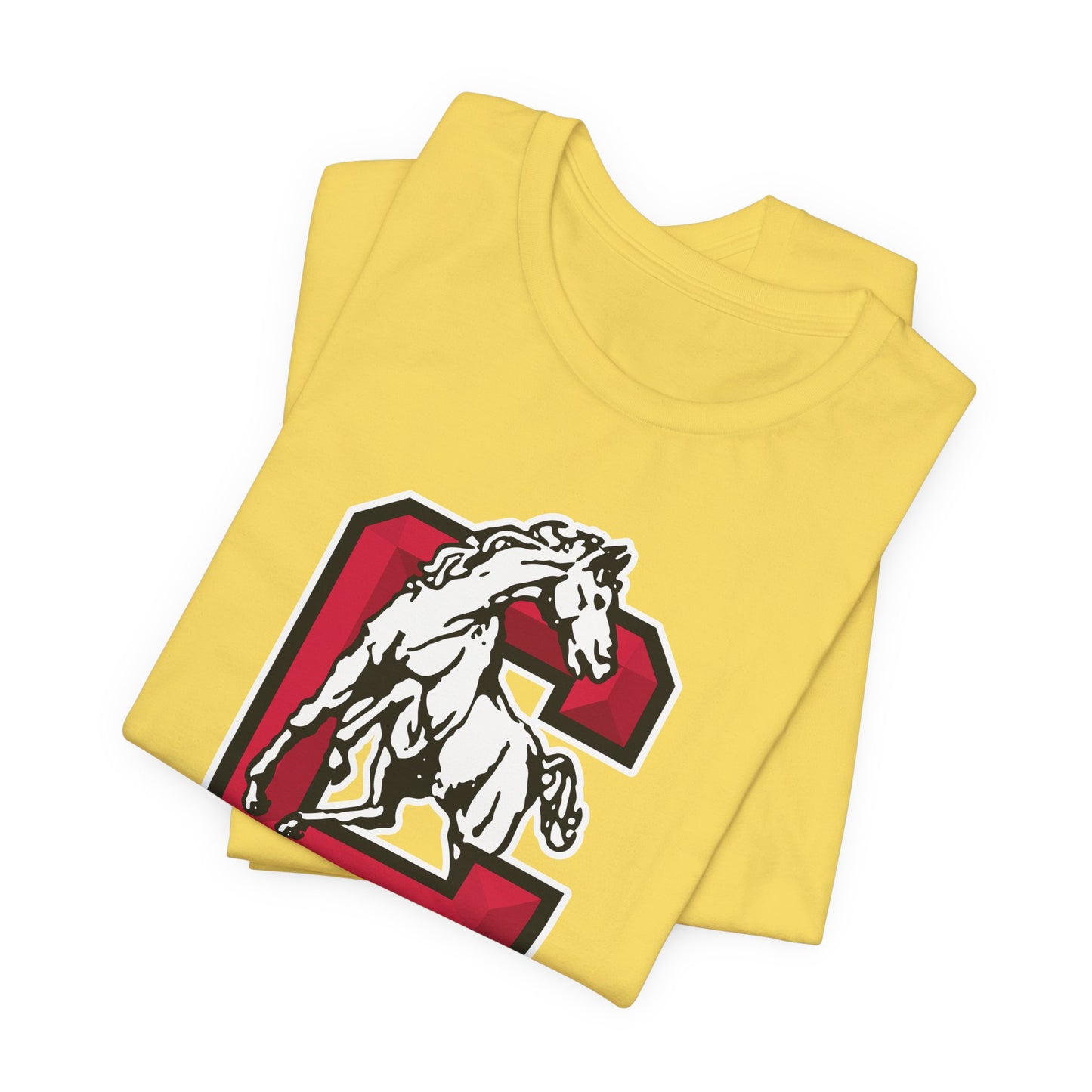 Jersey Short Sleeve Tee