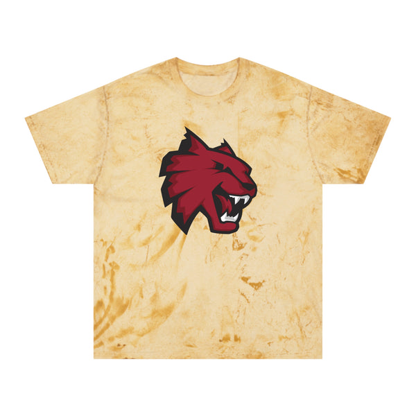 Color Blast School Spirit Tee