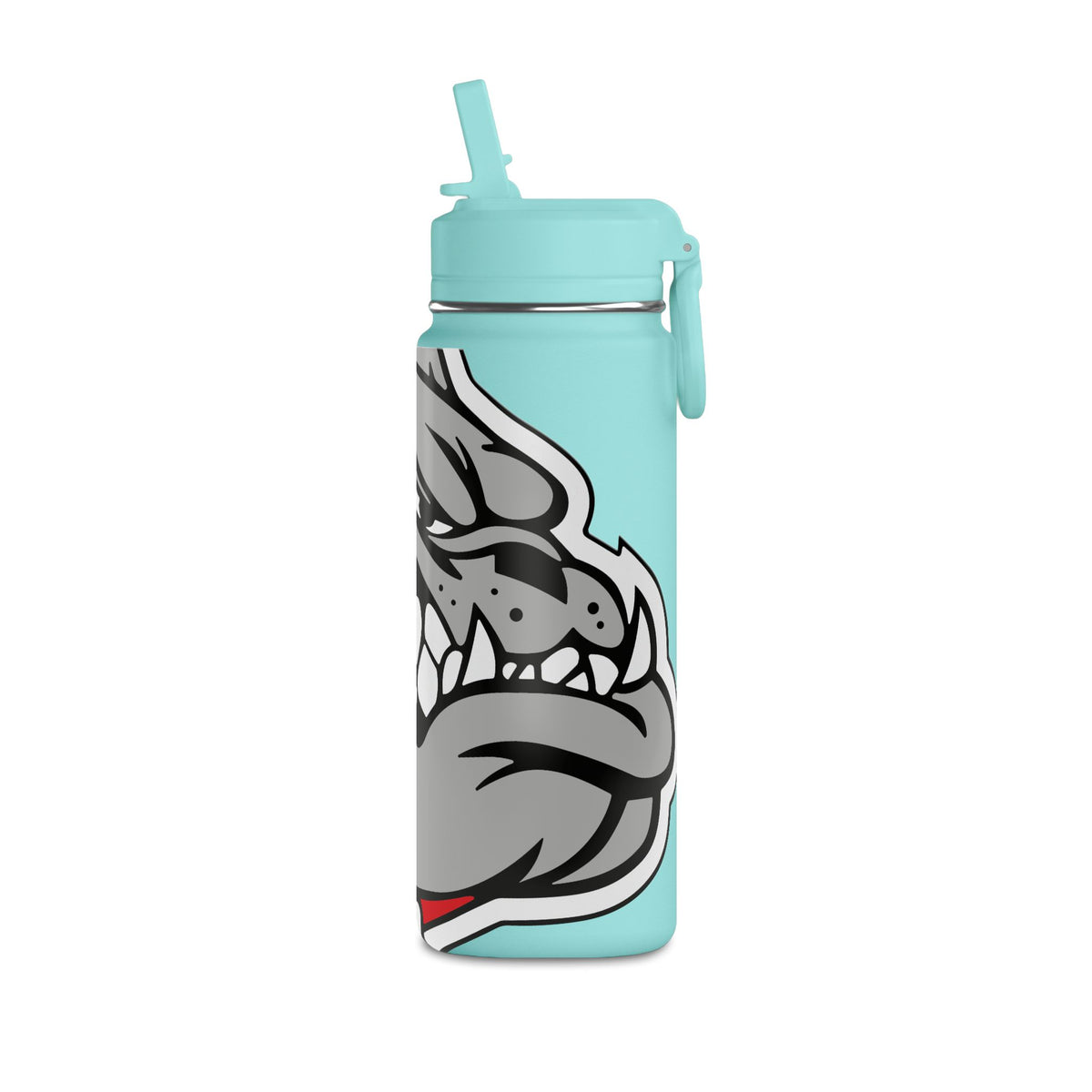 Mini Water Bottle, 20oz