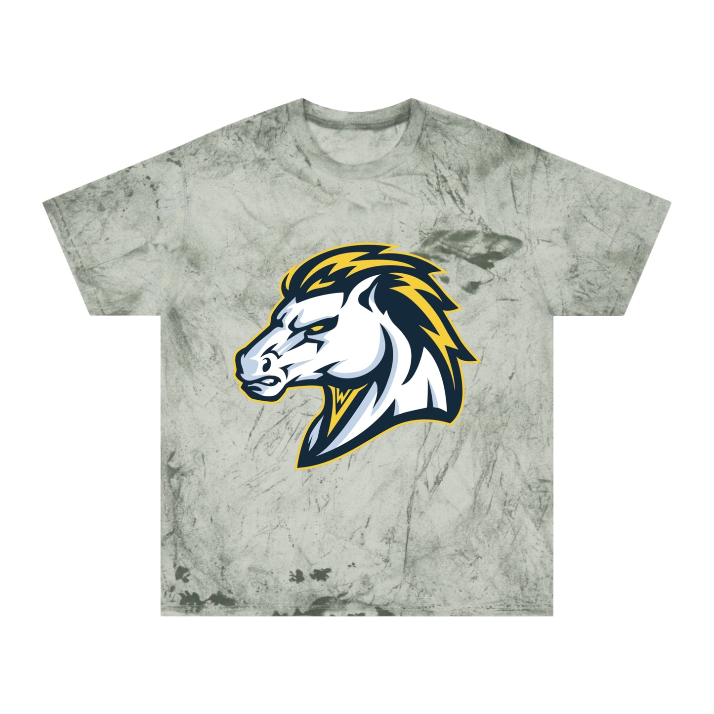 Color Blast School Spirit Tee