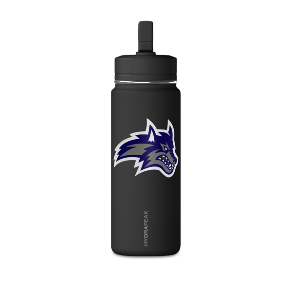 Mini Water Bottle, 20oz