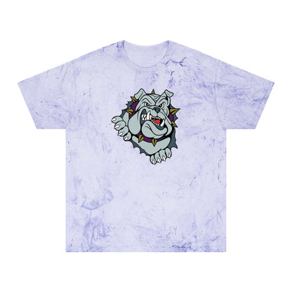 Color Blast School Spirit Tee