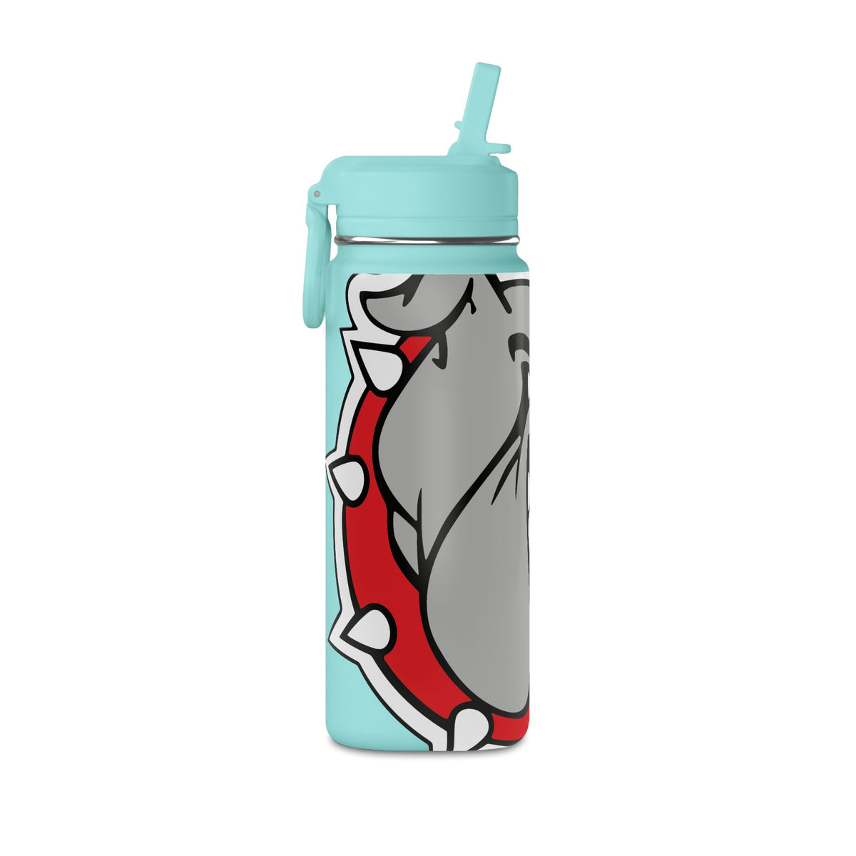 Mini Water Bottle, 20oz