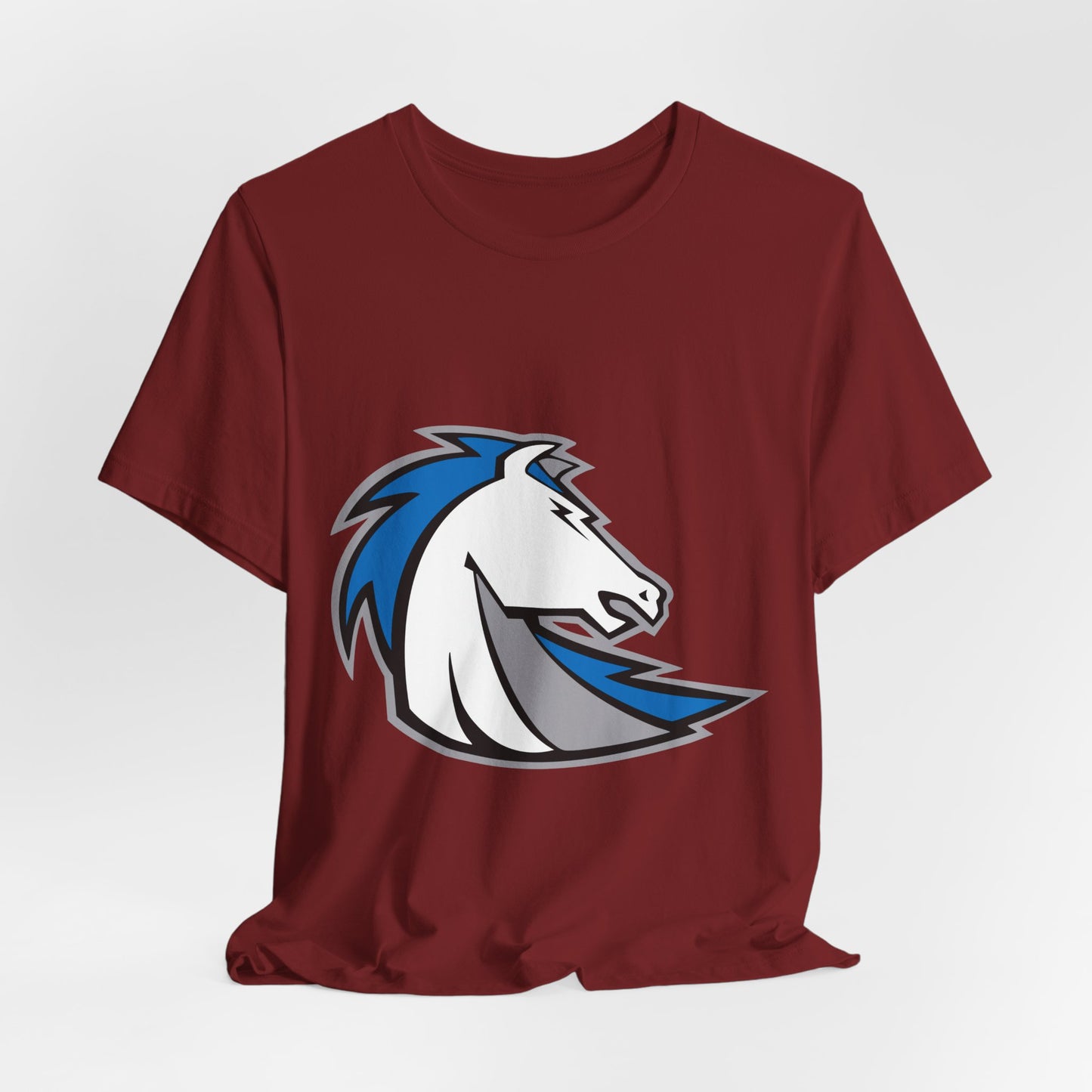 Jersey Short Sleeve Tee