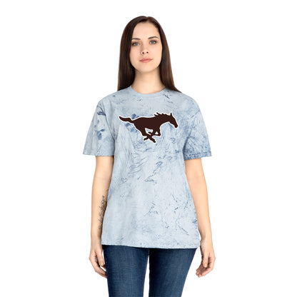 Color Blast School Spirit Tee