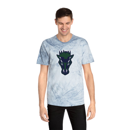 Color Blast School Spirit Tee