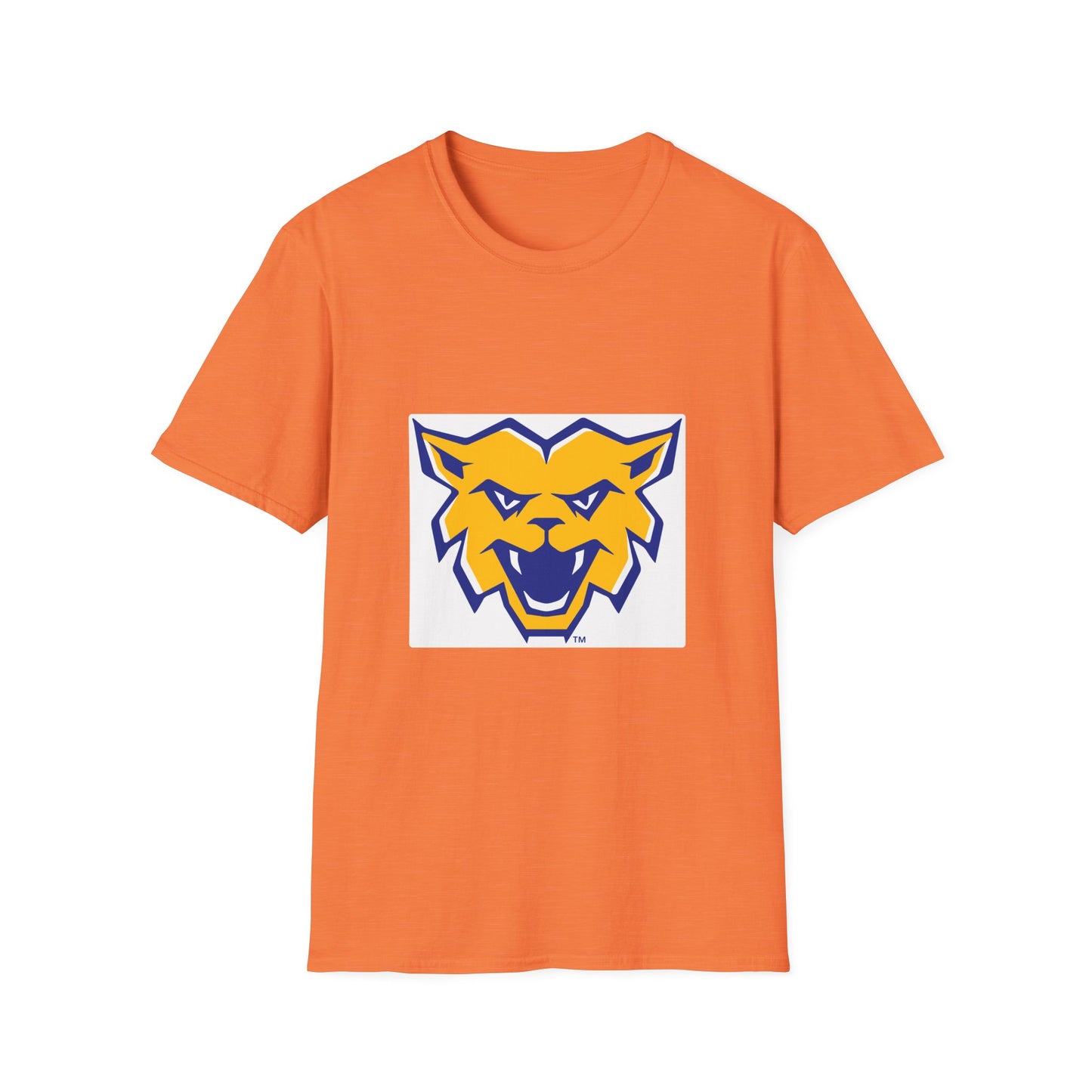 Softstyle T-Shirt