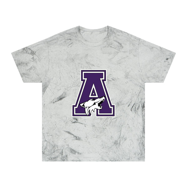 Color Blast School Spirit Tee