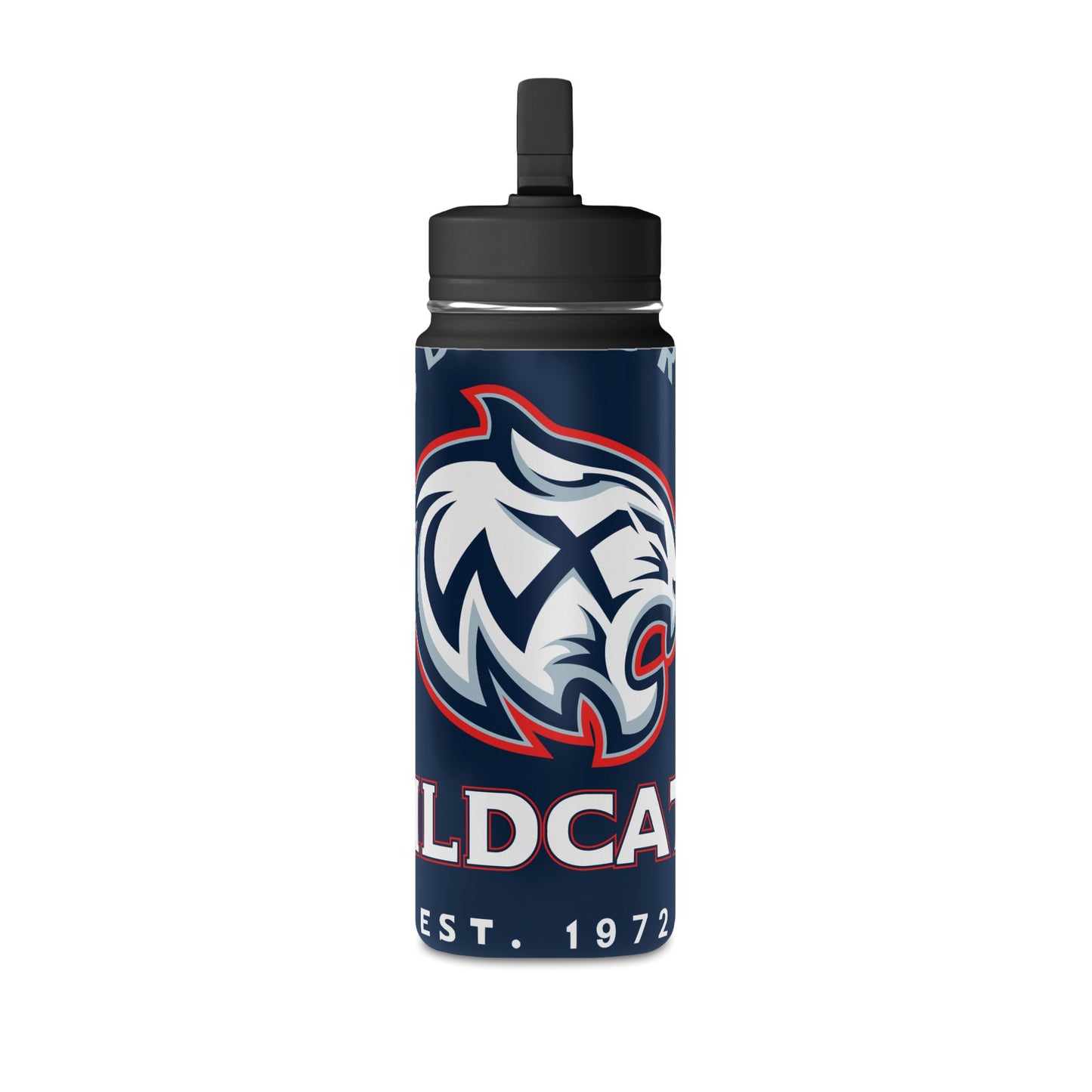 Mini Water Bottle, 20oz