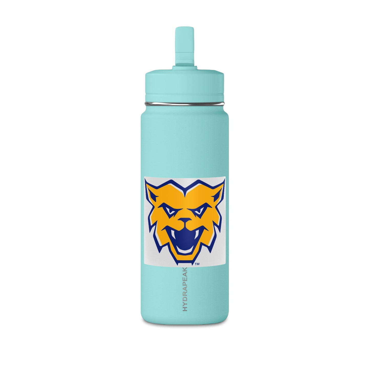 Mini Water Bottle, 20oz