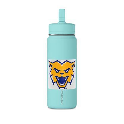 Mini Water Bottle, 20oz
