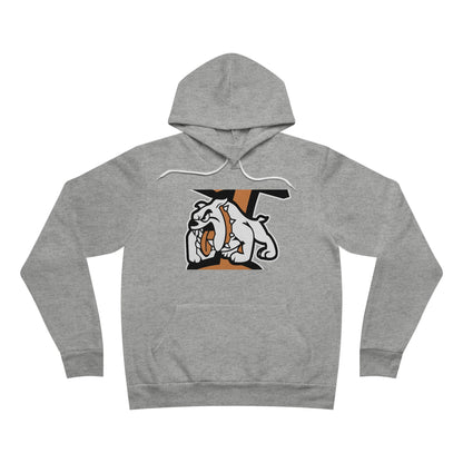 Sponge Fleece Pullover Hoodie