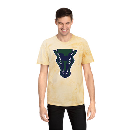 Color Blast School Spirit Tee