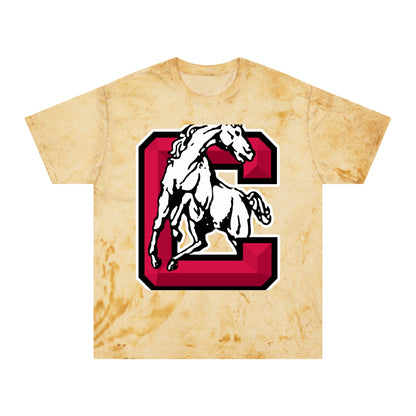 Color Blast School Spirit Tee
