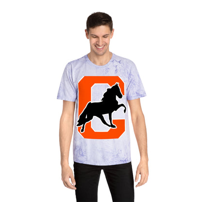 Color Blast School Spirit Tee