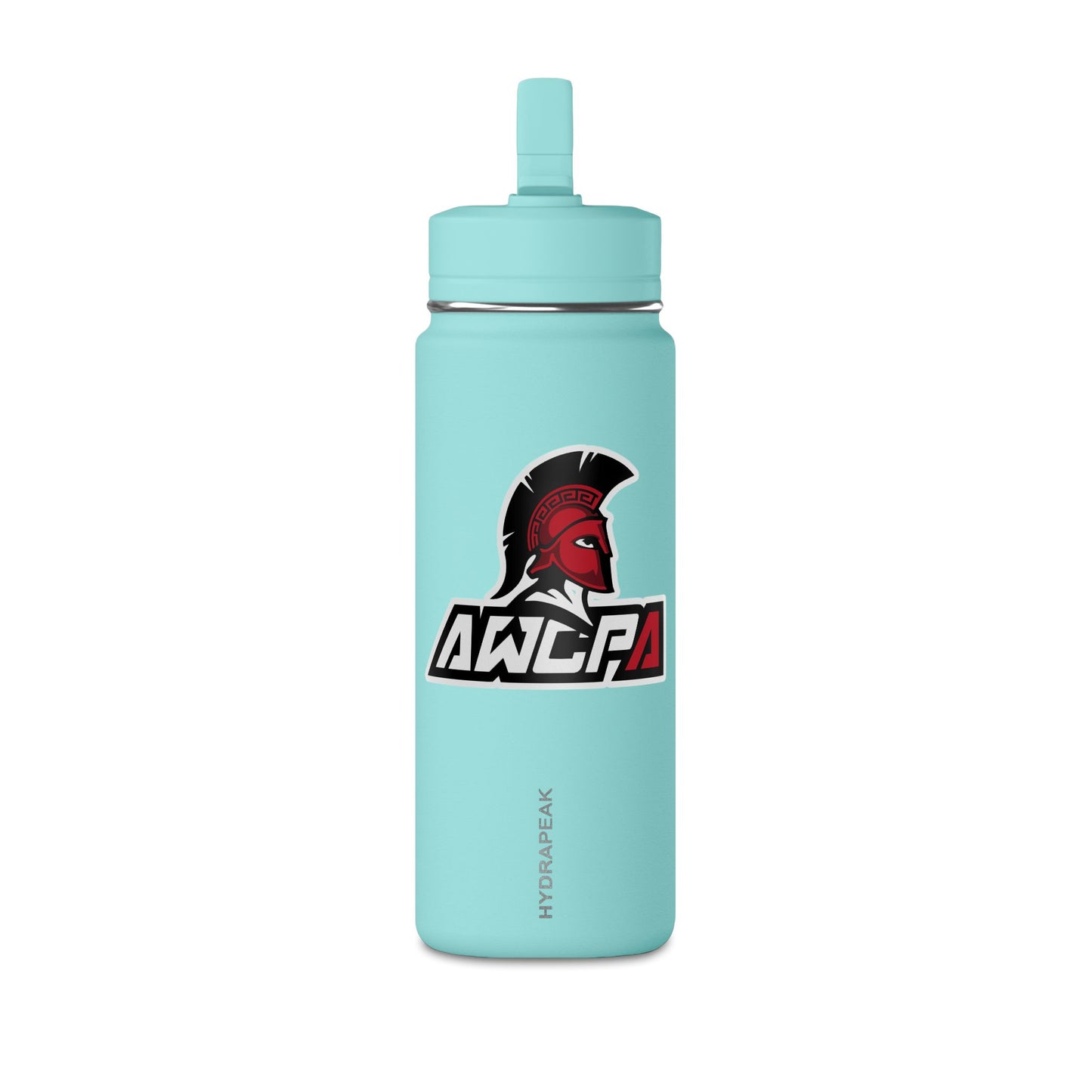 Mini Water Bottle, 20oz