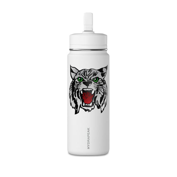 Mini Water Bottle, 20oz