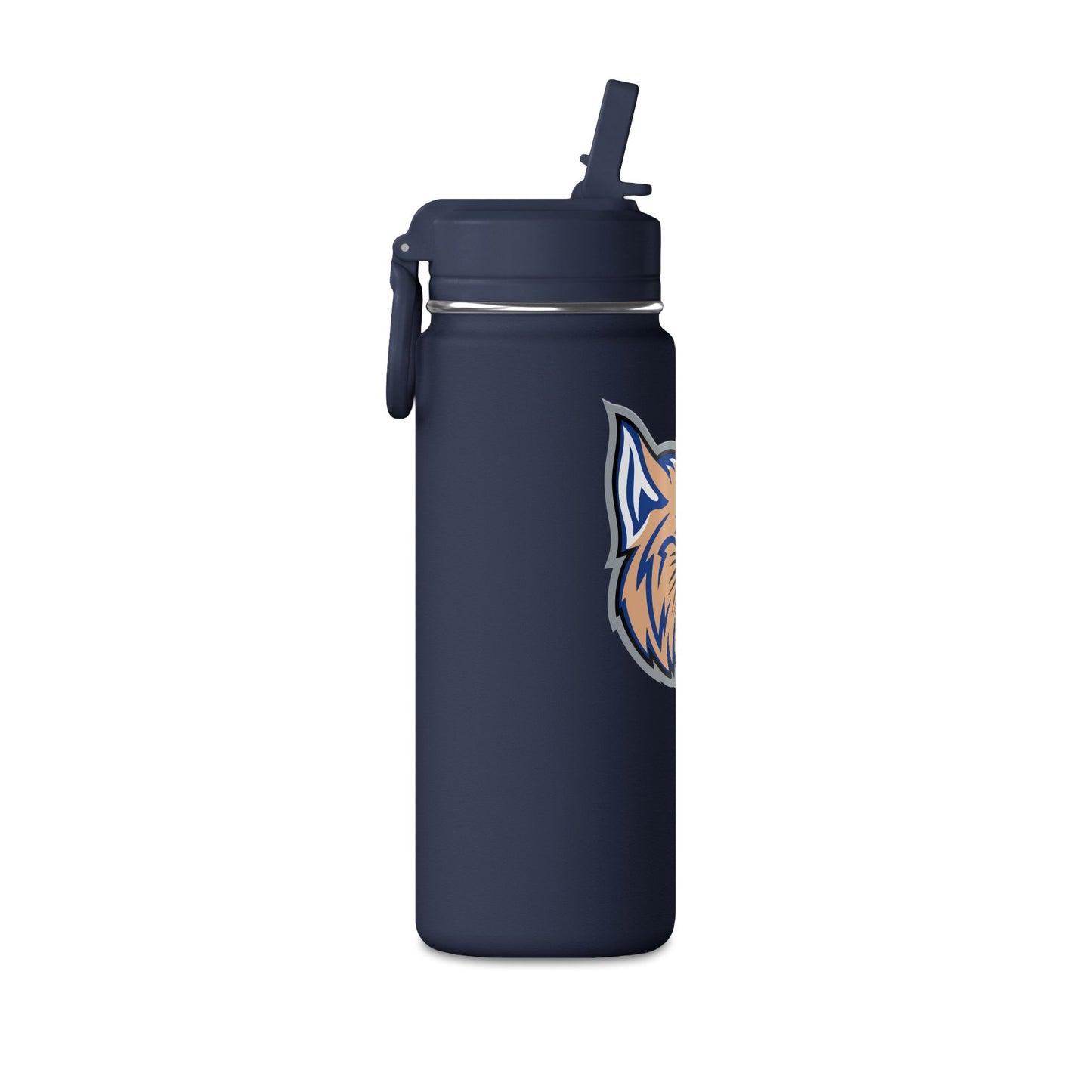 Mini Water Bottle, 20oz