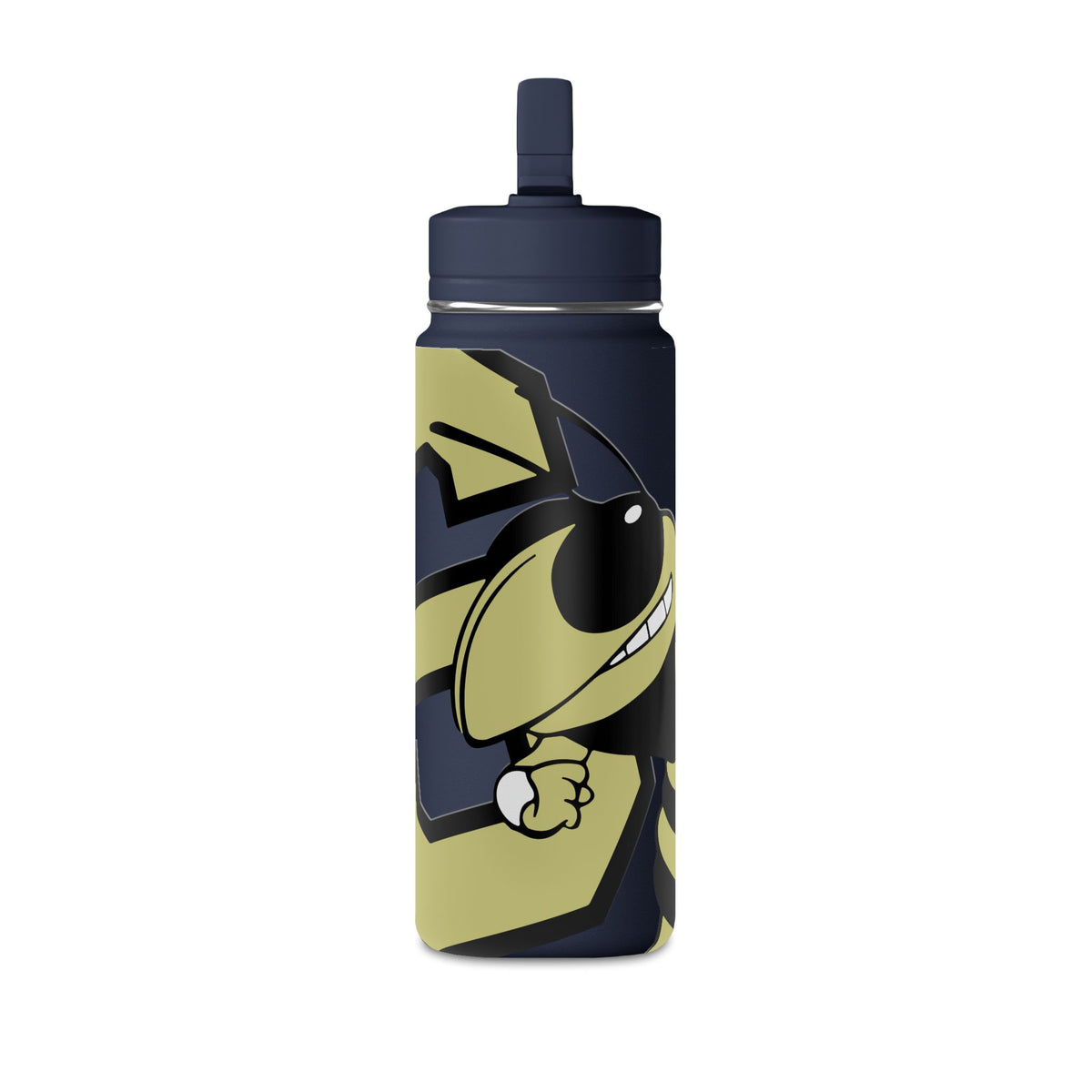 Mini Water Bottle, 20oz