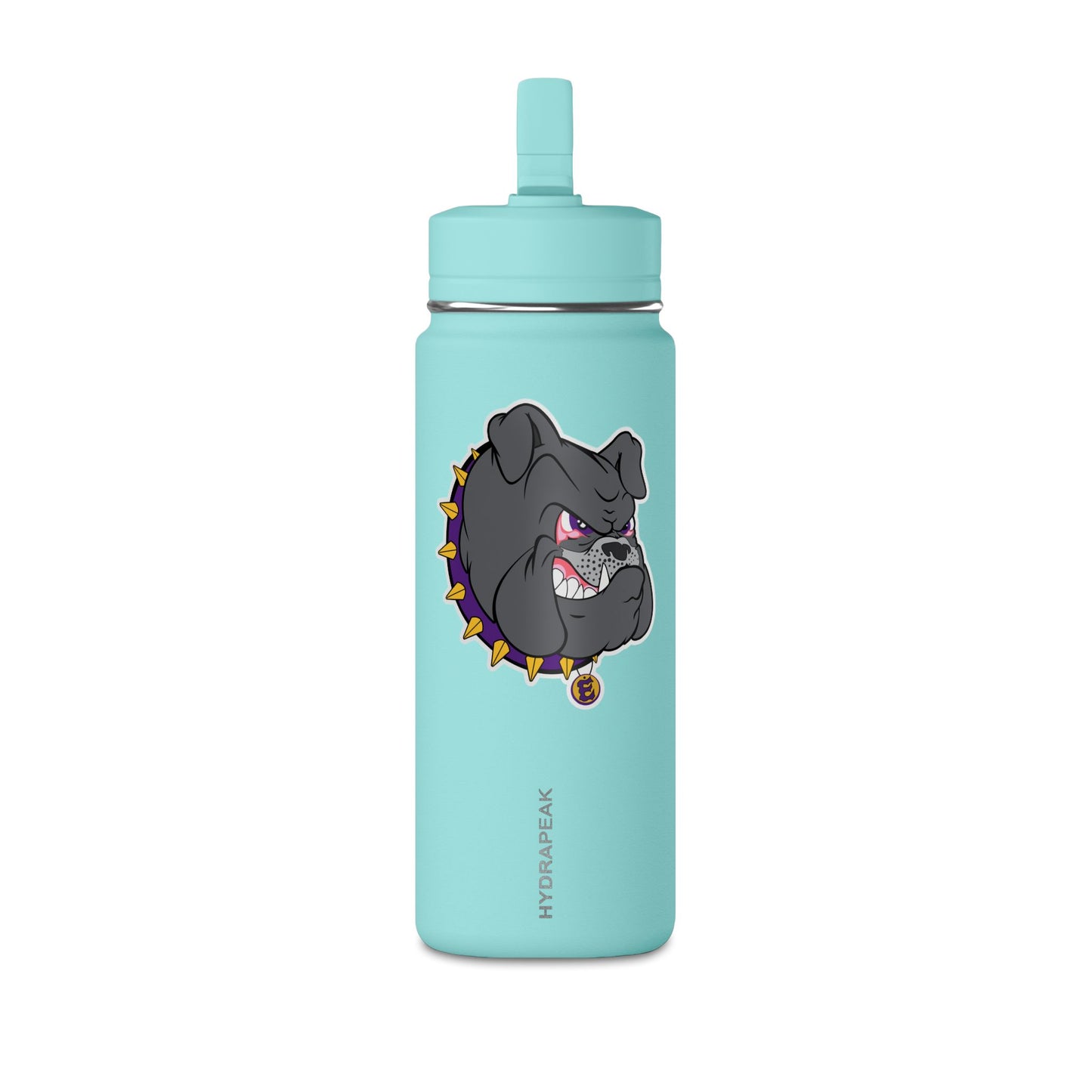 Mini Water Bottle, 20oz