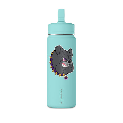 Mini Water Bottle, 20oz