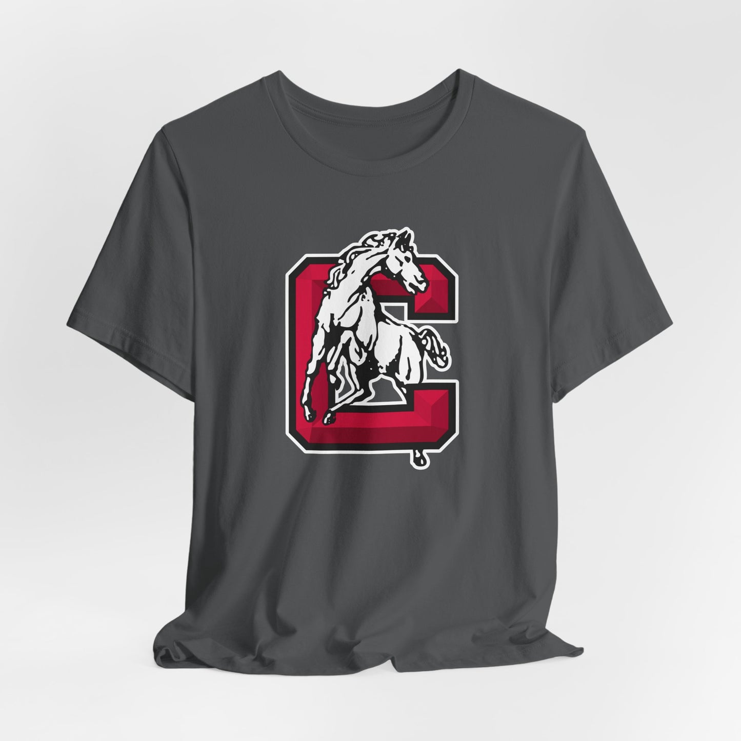 Jersey Short Sleeve Tee