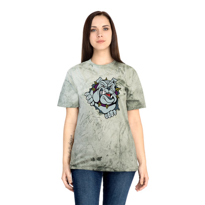 Color Blast School Spirit Tee