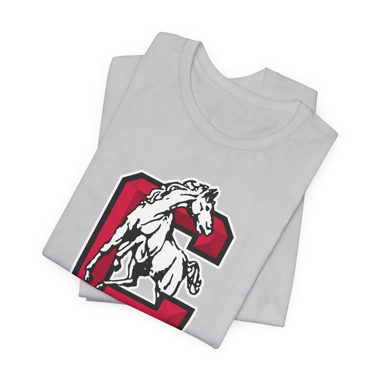 Jersey Short Sleeve Tee