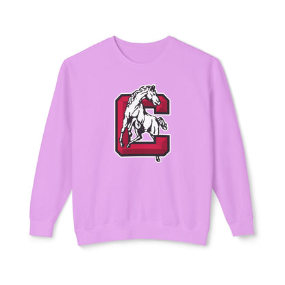 Lightweight Crewneck Sweatshirt