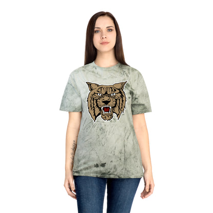 Color Blast School Spirit Tee