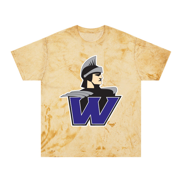 Color Blast School Spirit Tee