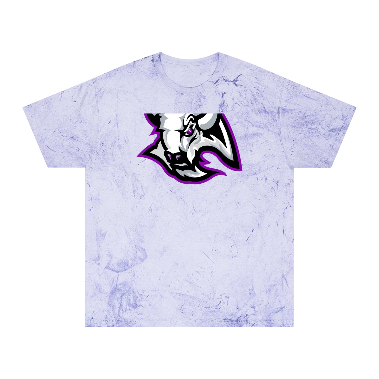 Color Blast School Spirit Tee