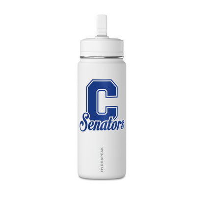 Mini Water Bottle, 20oz