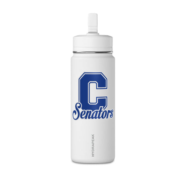 Mini Water Bottle, 20oz