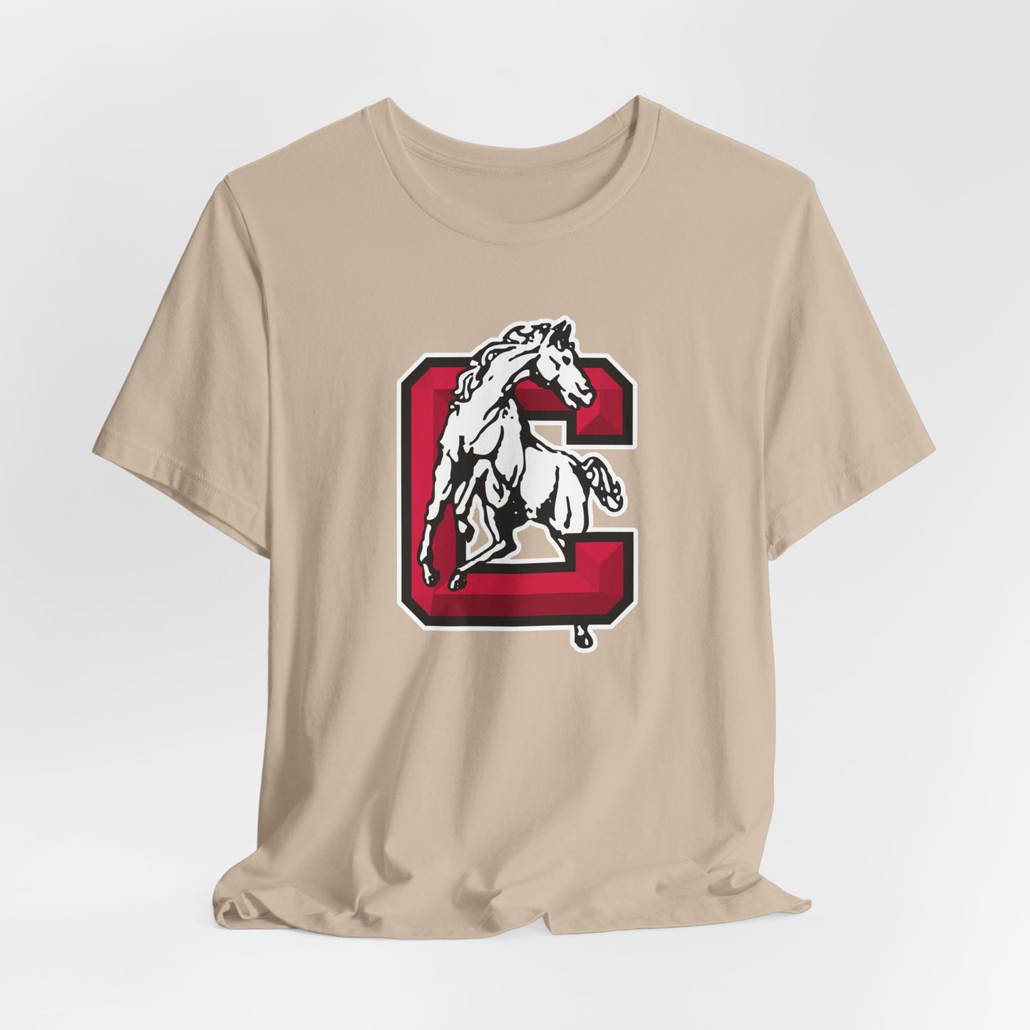 Jersey Short Sleeve Tee