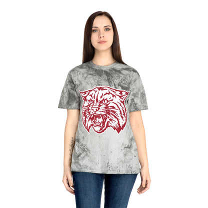 Color Blast School Spirit Tee