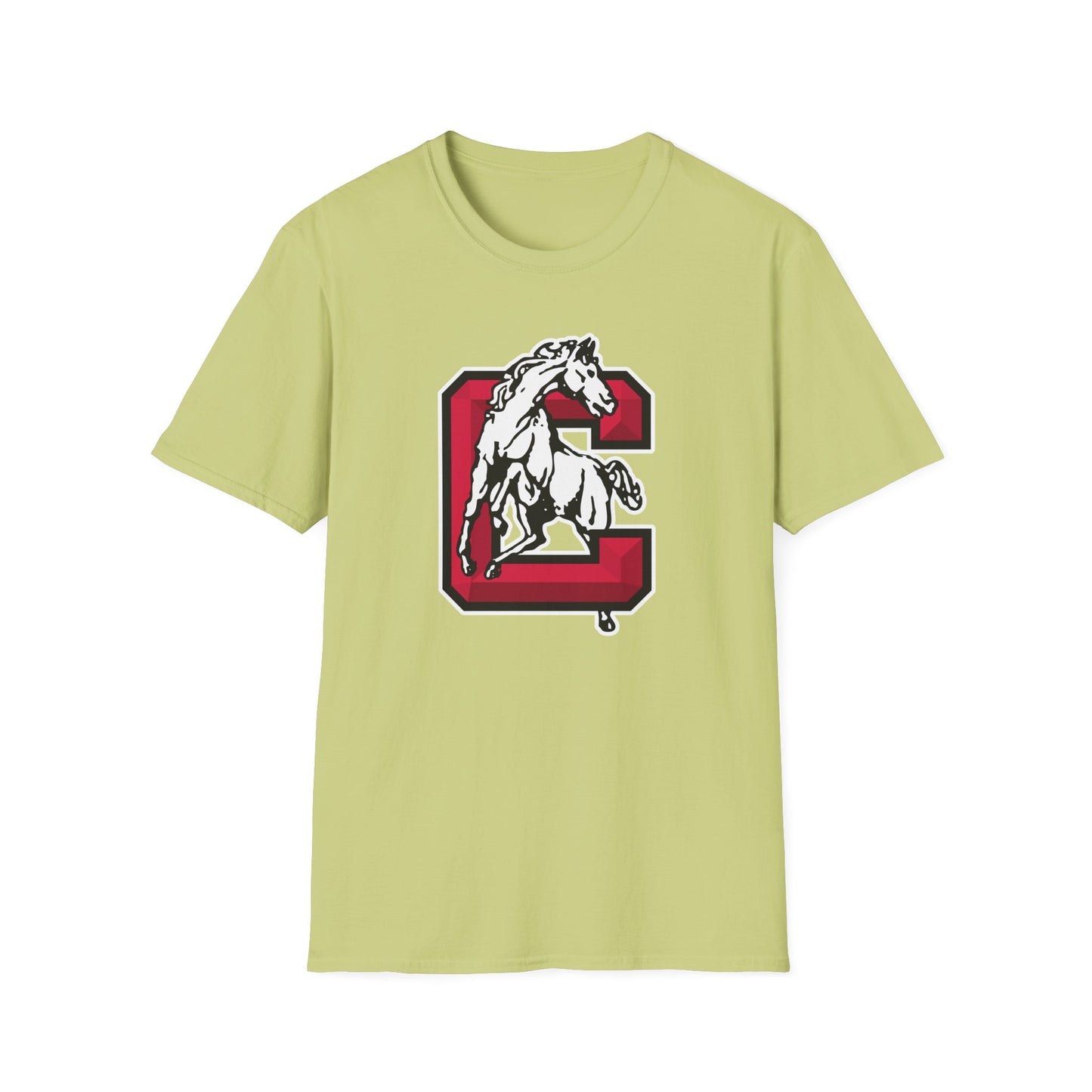 Softstyle T-Shirt