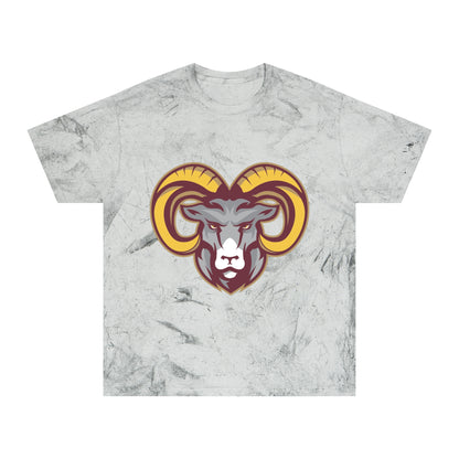 Color Blast School Spirit Tee